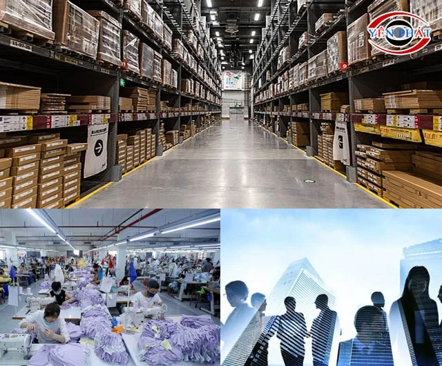 Ứng dụng đa dạng, tiện lợi