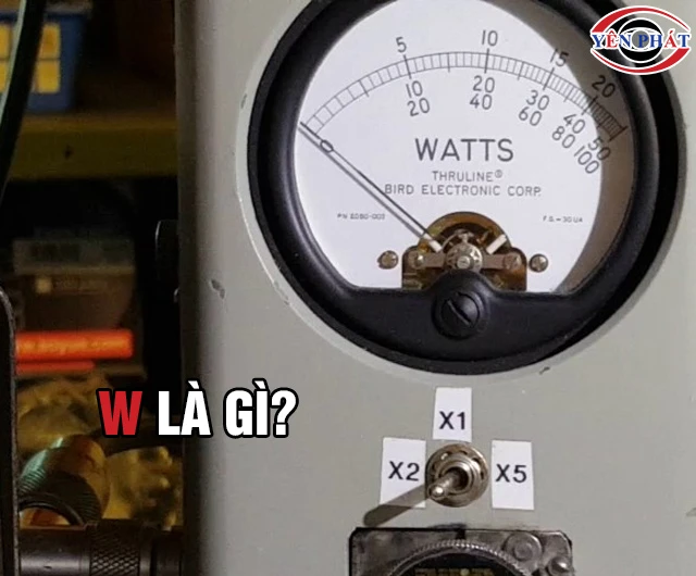 W là gì?