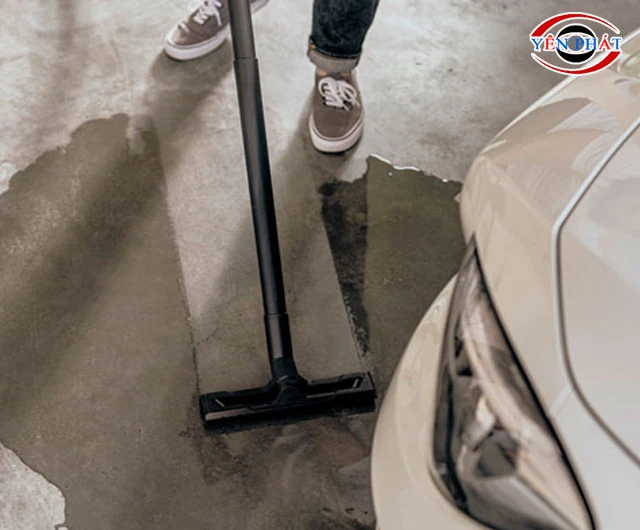 Lực hút Palada PD 20 siêu lớn