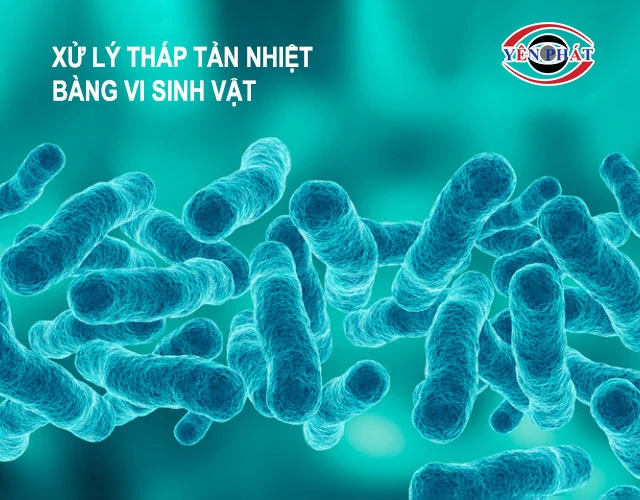 Sử dụng phương pháp sinh học 
