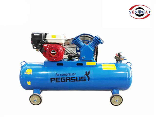 Pegasus TM-V-0.25/8-100L