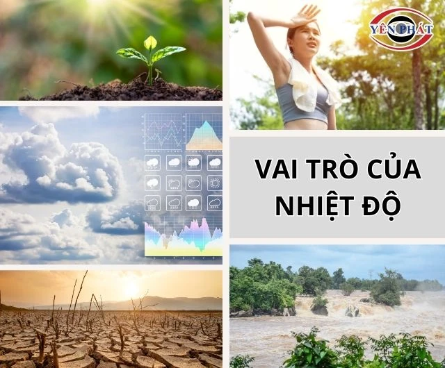 Nhiệt độ tác động lớn đến cuộc sống