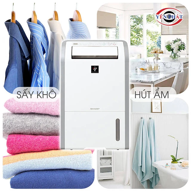 máy hút ẩm Sharp DW D20A W đa chế độ