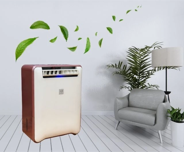 Review máy hút ẩm Sharp CV - R63CX chi tiết từ A đến Z