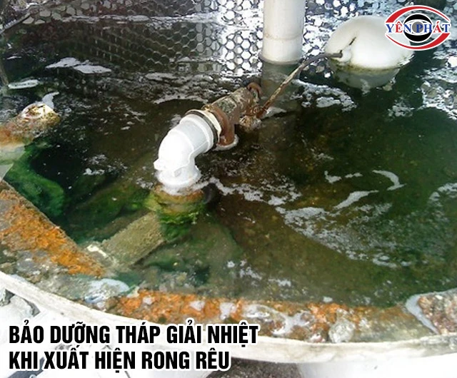 Khi nào nên bảo dưỡng tháp giải nhiệt