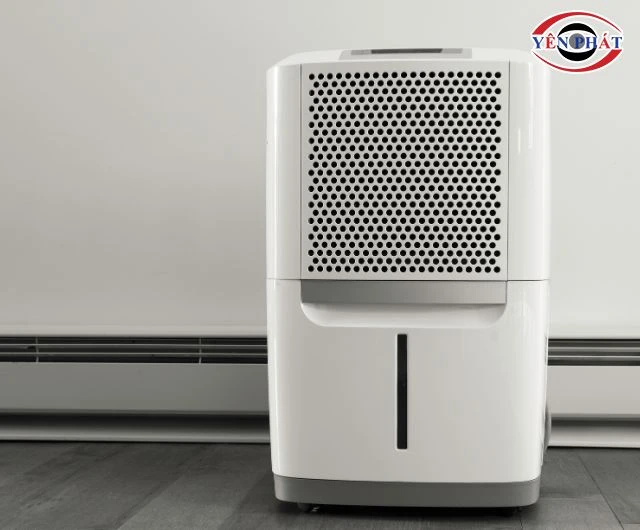 Máy hút ẩm là gì? Cấu tạo, Nguyên lý hoạt động, Ứng dụng