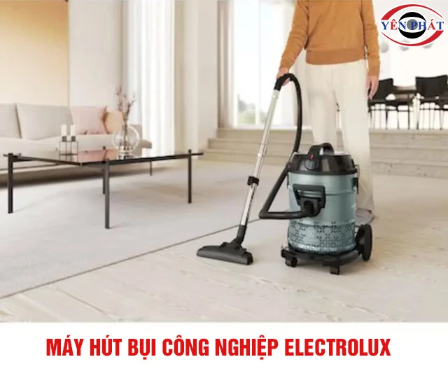 Top 5 Máy hút bụi công nghiệp Electrolux: Giá rẻ, Chất lượng