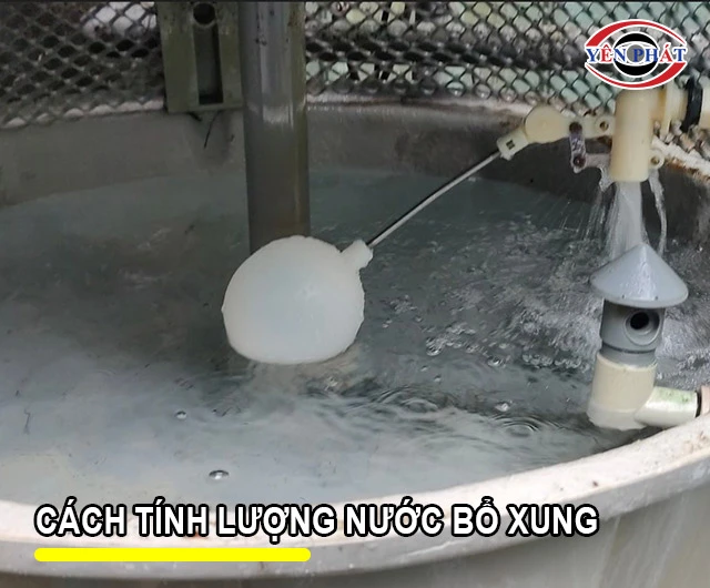Cách tính lượng nước cần bổ sung