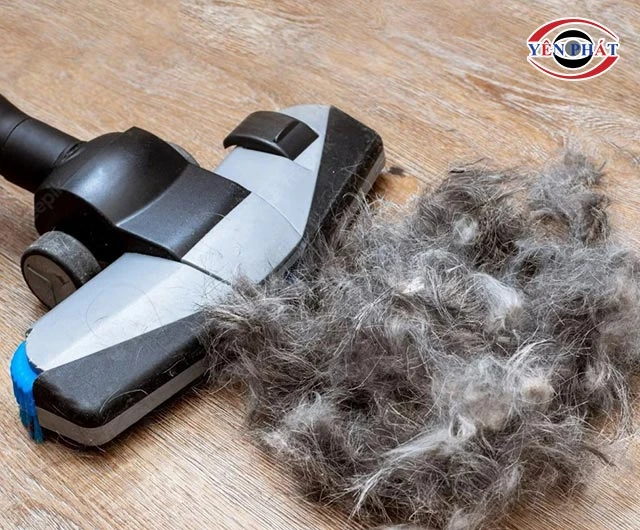 Máy hút bụi có hút được tóc không? Chọn loại nào phù hợp