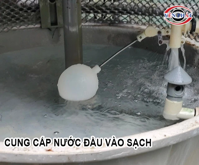 cung cấp nước đầu vào sạch