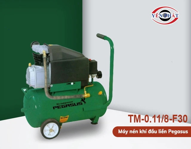 máy nén khí đầu liền Pegasus TM-0.11/8-F30