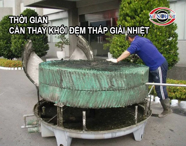 thay khối đệm tháp giải nhiệt