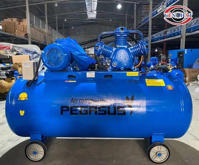 Máy nén khí pegasus TM-W-0.9/8-500L