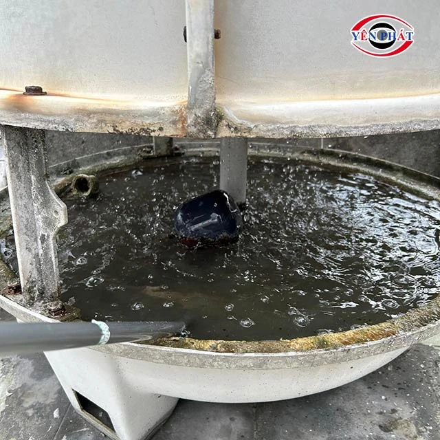 Hàm lượng vi khuẩn