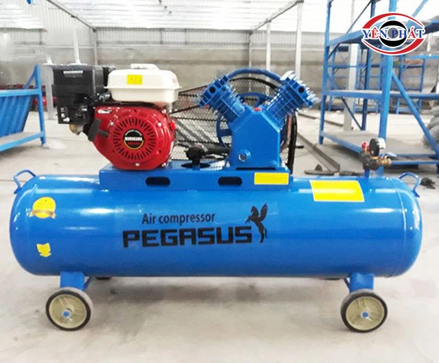 Máy nén khí chạy xăng Pegasus TM-V-0.25/8-100L