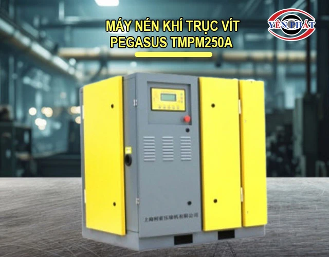 Máy nén khí trục vít Pegasus TMPM250A