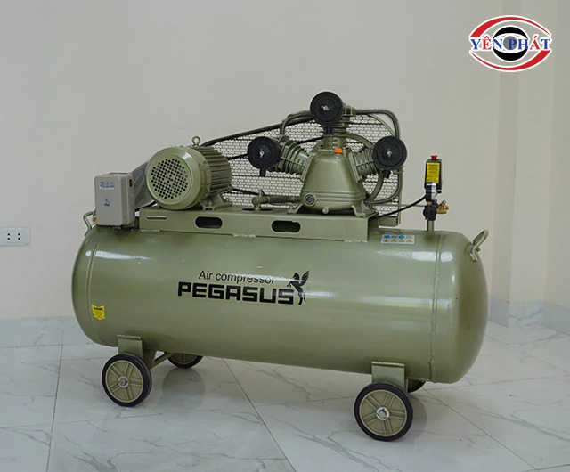 Máy nén khí Pegasus TM-W-0.36/8-230L