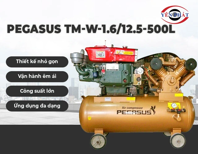 ưu điểm của máy khí nén Pegasus TM-W-1.6/12.5-500L