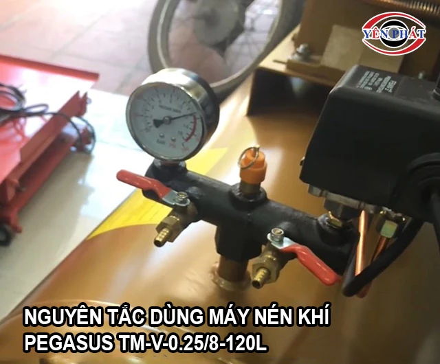 cách dùng máy nén khí Pegasus TM-V-0.25/8-120L