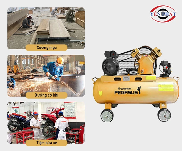 những nơi ứng dụng Pegasus TM-V-0.25/8-120L
