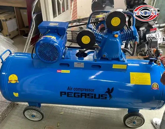 Máy nén khí Pegasus TM-W-0.36/12.5-230L