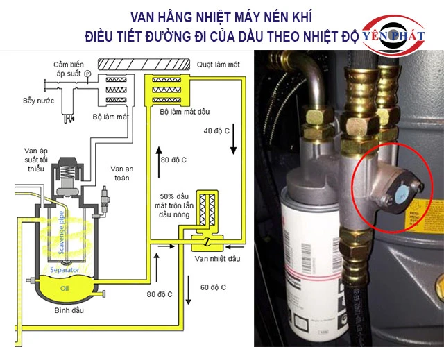 Điều tiết đường đi của dầu theo nhiệt độ