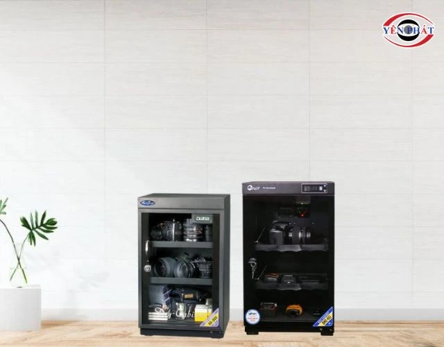 Sưu tầm tem, tiền, sách cổ
