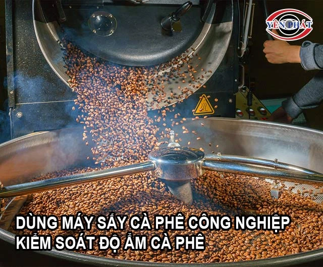 ử dụng máy sấy cà phê công nghiệp