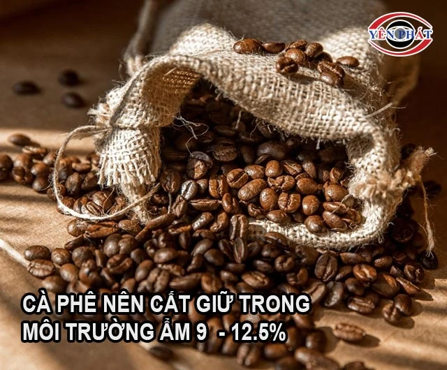 nhiệt độ bảo quản cà phê