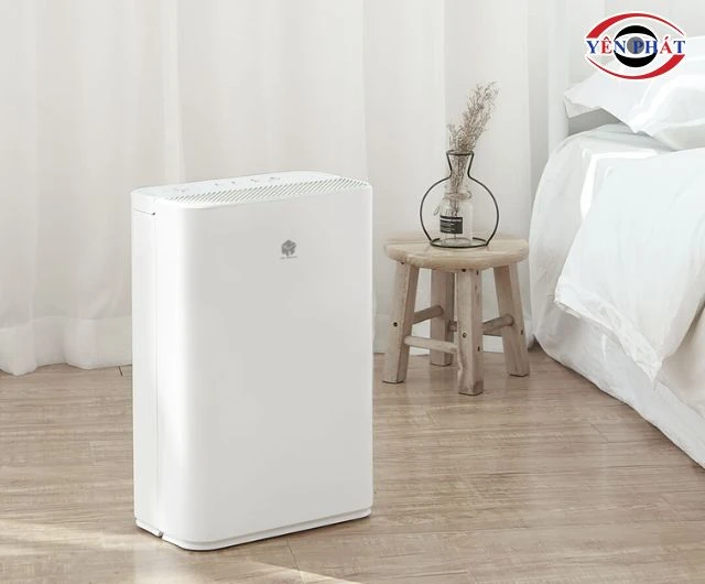 Cách dùng máy hút ẩm mini phòng ngủ