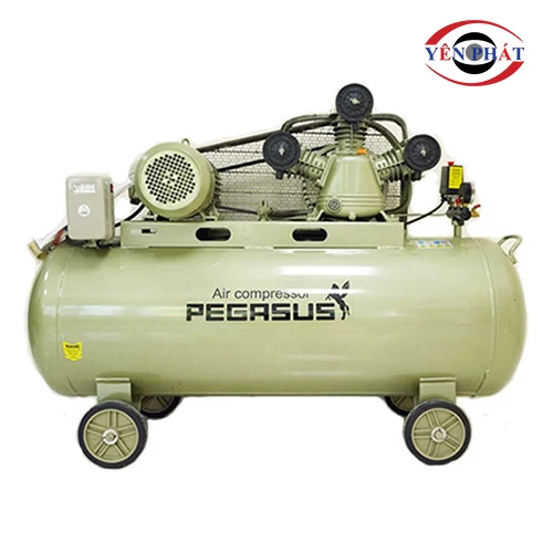 Máy nén khí Pegasus TM-V-0.36/8-230L 1