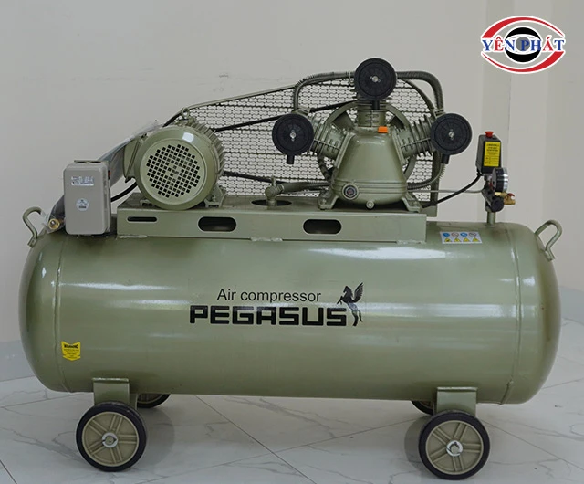 Máy nén khí Pegasus TM-V-0.36/8-230L
