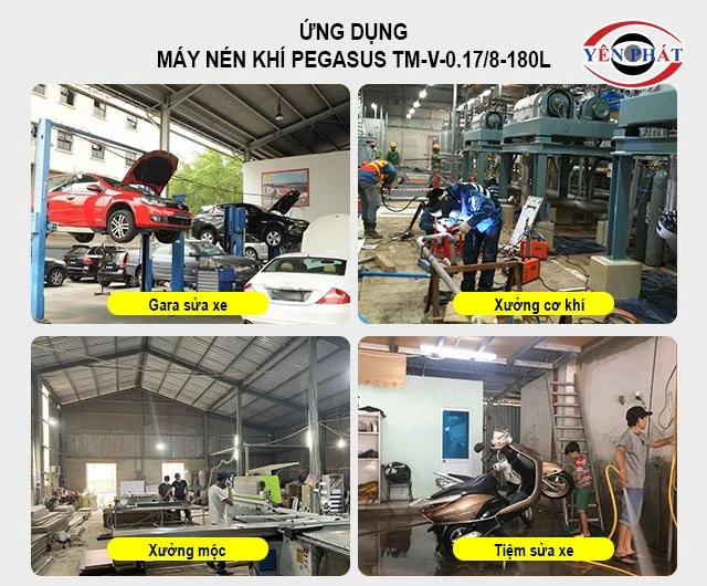 ứng dụng của Máy nén khí Pegasus TM-V-0.17/8-180L