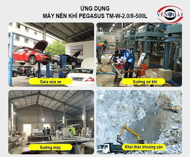 ứng dụng Pegasus TM-W-2.0/8-500L