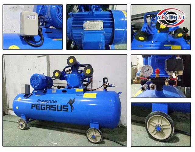 Cấu tạo của máy nén khí Pegasus