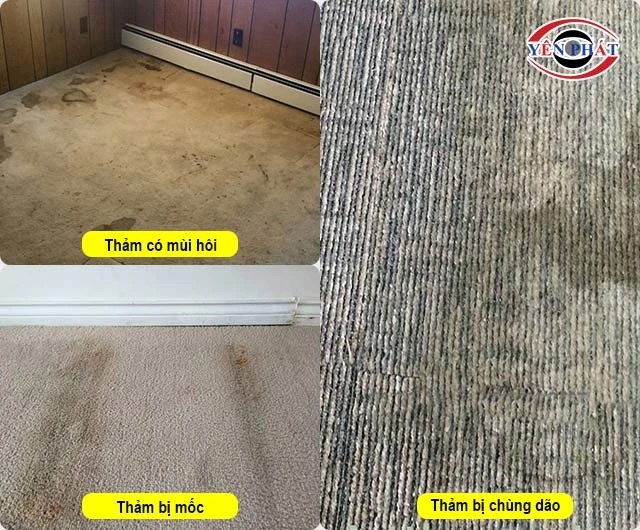 Hậu quả sử dụng sai cách máy giặt thảm