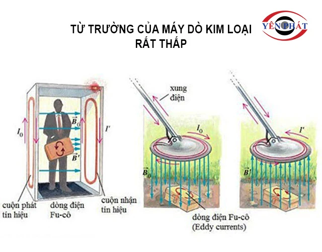 Từ trường của máy dò kim loại rất thấp