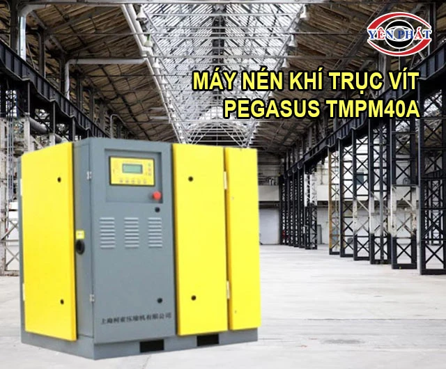 thiết kế của máy nén khí trục vít Pegasus TMPM40A