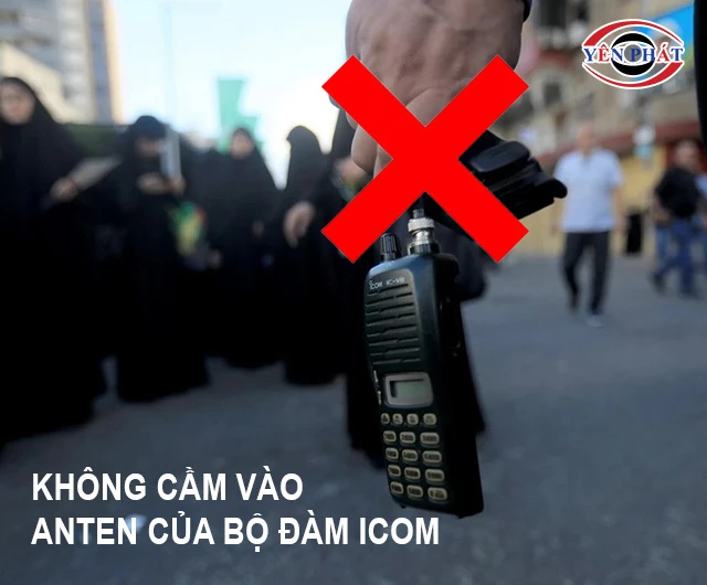 không cầm vào anten của bộ đàm icom