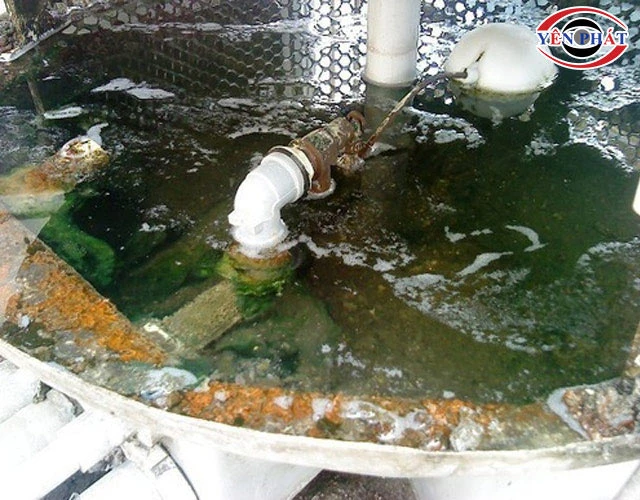 nước tháp giải nhiệt đóng cặn, nhiều rong rêu