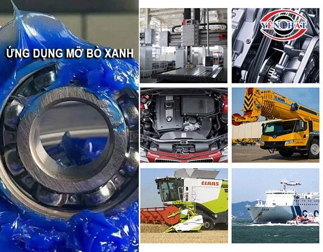 Ứng dụng của mỡ bò xanh