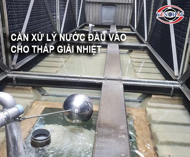 luôn cần xử lý nước đầu vào