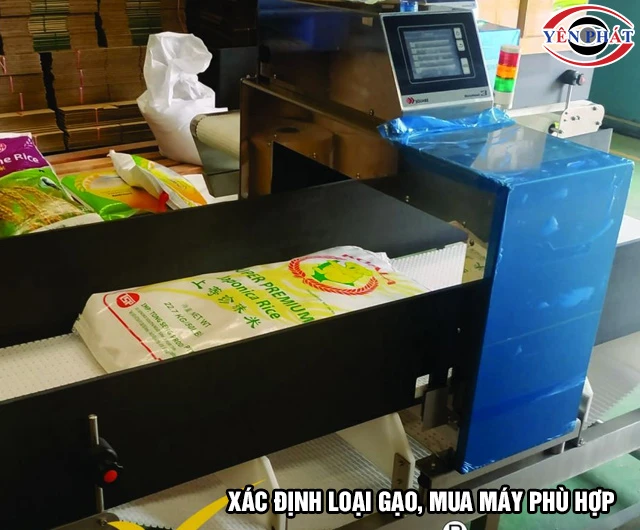 Mua máy dò kim loại gạo