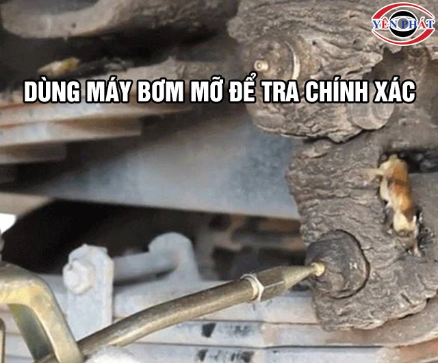 Tra mỡ bò chịu nhiệt Mỹ bằng máy bơm mỡ