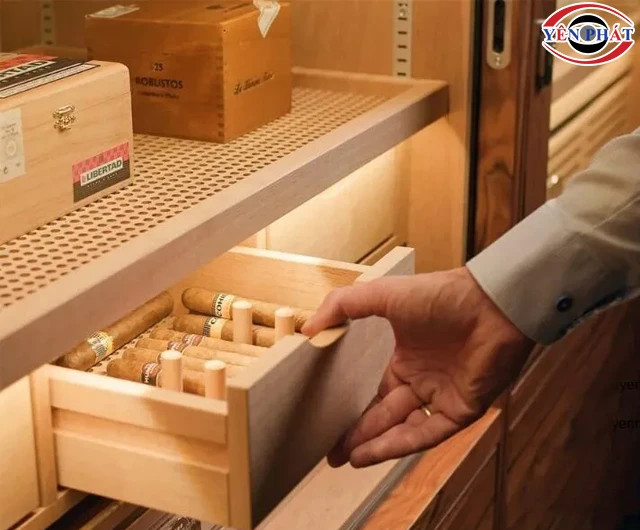 Xếp xì gà vào tủ chống ẩm