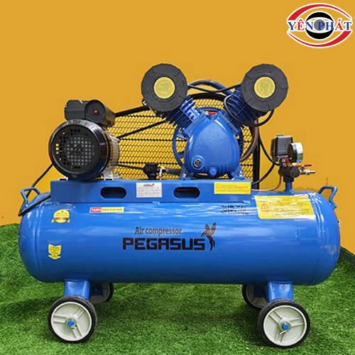 Máy nén hơi Pegasus TM-V-0.25/8-70L 3