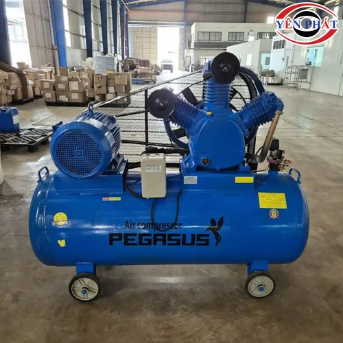 Máy nén hơi dây đai TM-W-0.67/12.5-330L 4