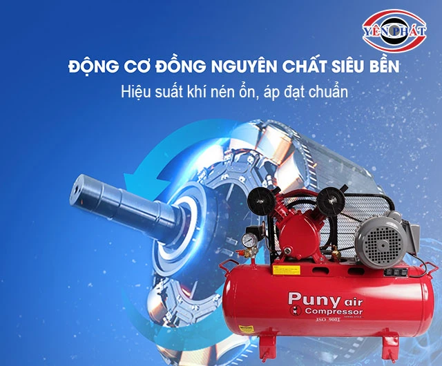 động cơ lõi đồng của máy nén khí Puny