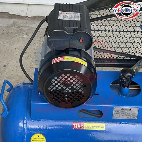 Máy nén không khí mini Pegasus TM-V-0.12/8-70L 4