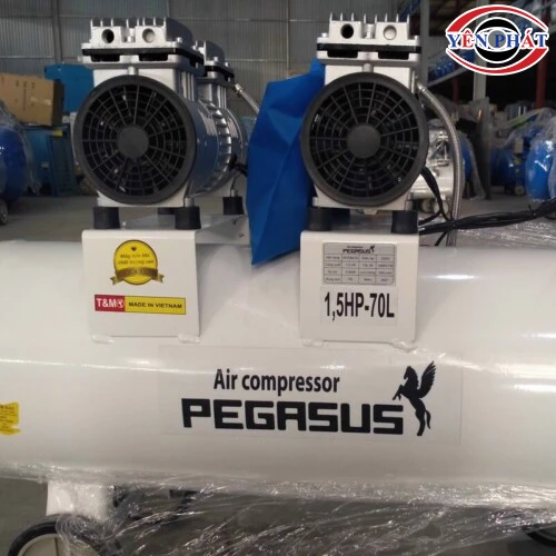 Máy nén không khí không dầu Pegasus TM-OF550-70L 4